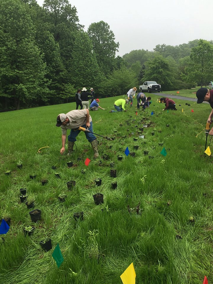 We planted for pollinators yesterday! We need more volunteers Saturday. fairfaxcounty.gov/news2/planting… #savethebees