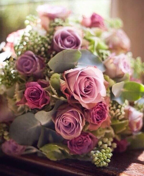 t31233rr's tweet photo. #الشمريه_50k_متابع
شاركوها فرحتها الأميره 
غداً والرتويت مفتوح 🌸💕 https://t.co/ApoQ7EXl8Z