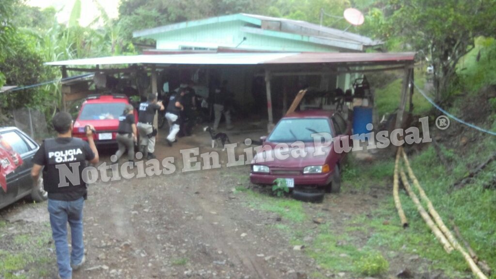 Alexander Alberto tweet media