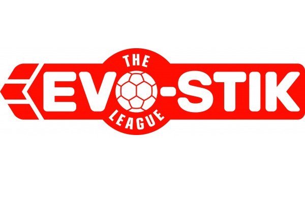 Confirmed: Basingstoke Town FC will play in the Evo-Stik Southern Premier League, for the 2016/17 season.