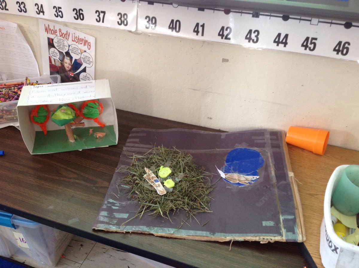 Cport_First's tweet image. Come see #BirdProjects that are both finished AND works-in-progress tomorrow between 8:30 &amp;amp; 9:00. #AndrésClass