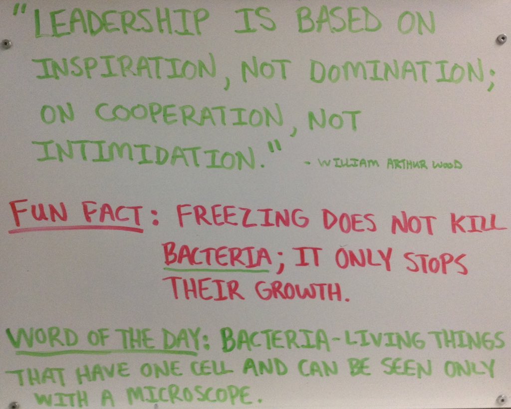 ShayneLibrary's tweet image. The Shayne Daily Star