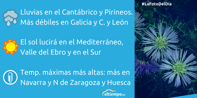 Ver imagen en Twitter