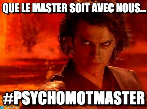 Dfensepsychomot's tweet photo. #PsychomotMaster #JeDisPsychomot #PleaseRT https://t.co/kCctWmdfO8