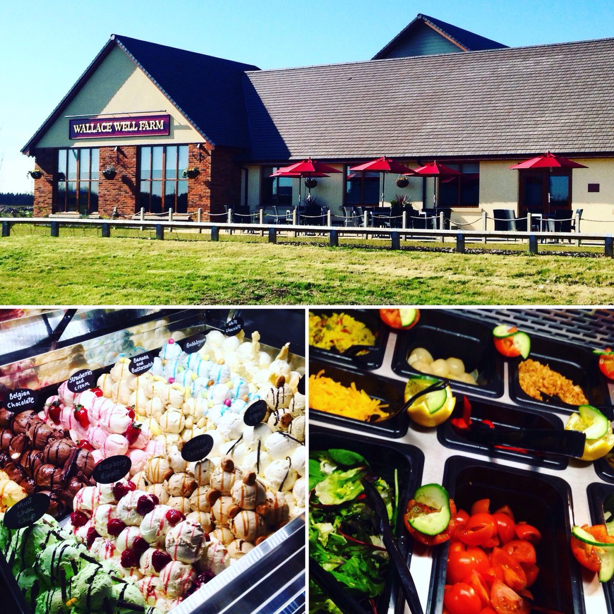 5215Farm's tweet photo. The sun is shining on Wallace Well Farm ☀️ #wallacewellfarm #glasgowisgrande #robroyston https://t.co/Nywqctbs9l