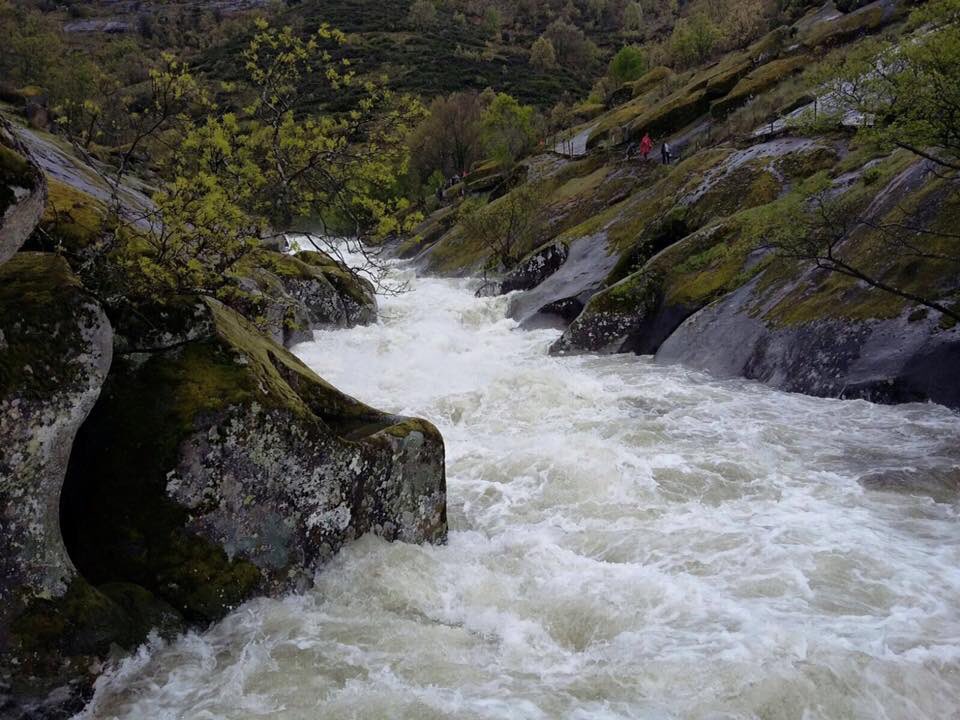 ValleCereza's tweet photo. No te pierdas este finde las gargantas y cascadas del Valle del Jerte. ¡ESTÁN INCREÍBLES! https://t.co/L1mp19I3Sr https://t.co/FBjyDjkSrC