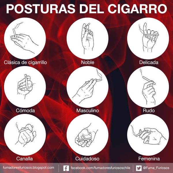 Fuma_Furiosos's tweet photo. Y cuál es tu postura favorita? #MeGustaFumar #Posturas #Cigarro https://t.co/eUjB2m9WAI