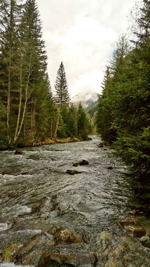 AnneMarieHolze's tweet photo. #Österreich #Mauterndorf #wandern #Millstadt #naturelife #Ruhe https://t.co/6yyFRfXXd0
