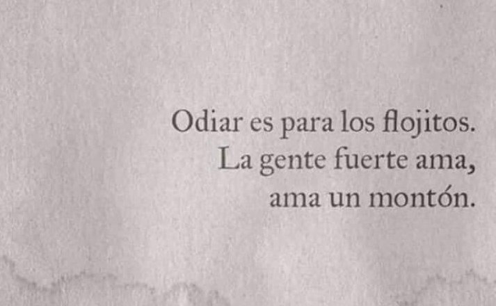 TANIA. tweet media