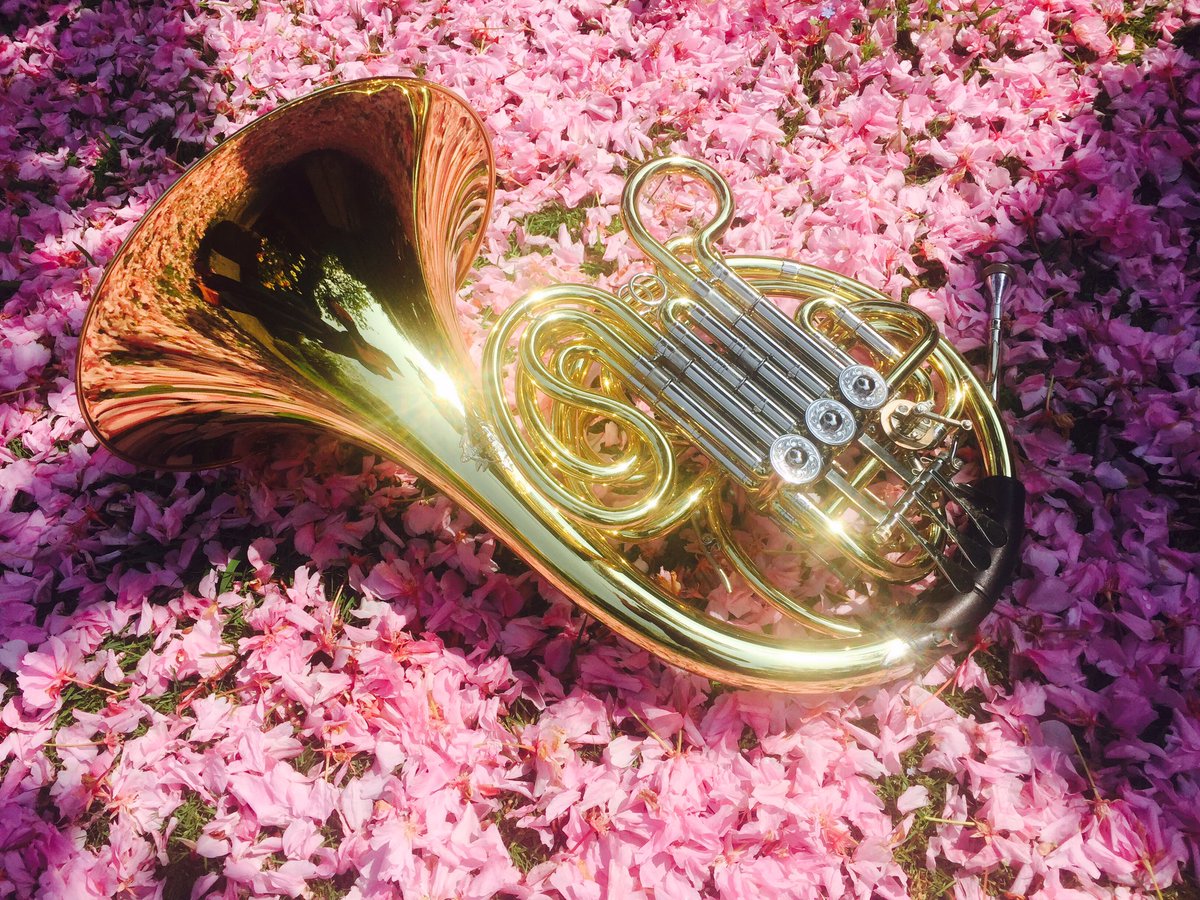 sarahwillis's tweet image. Blossoming horn... #practicebreak #Londonspringtime