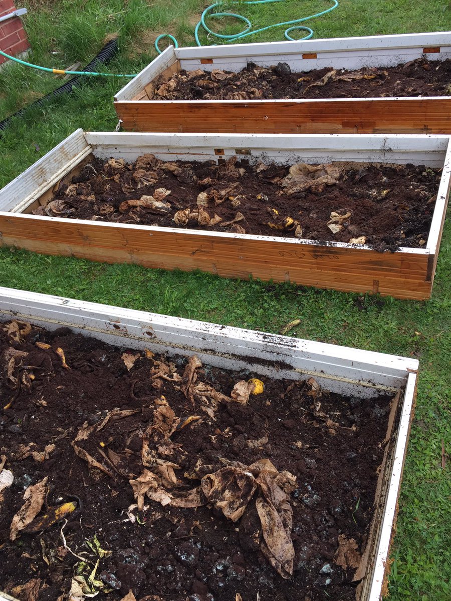 Compost base. Yum!