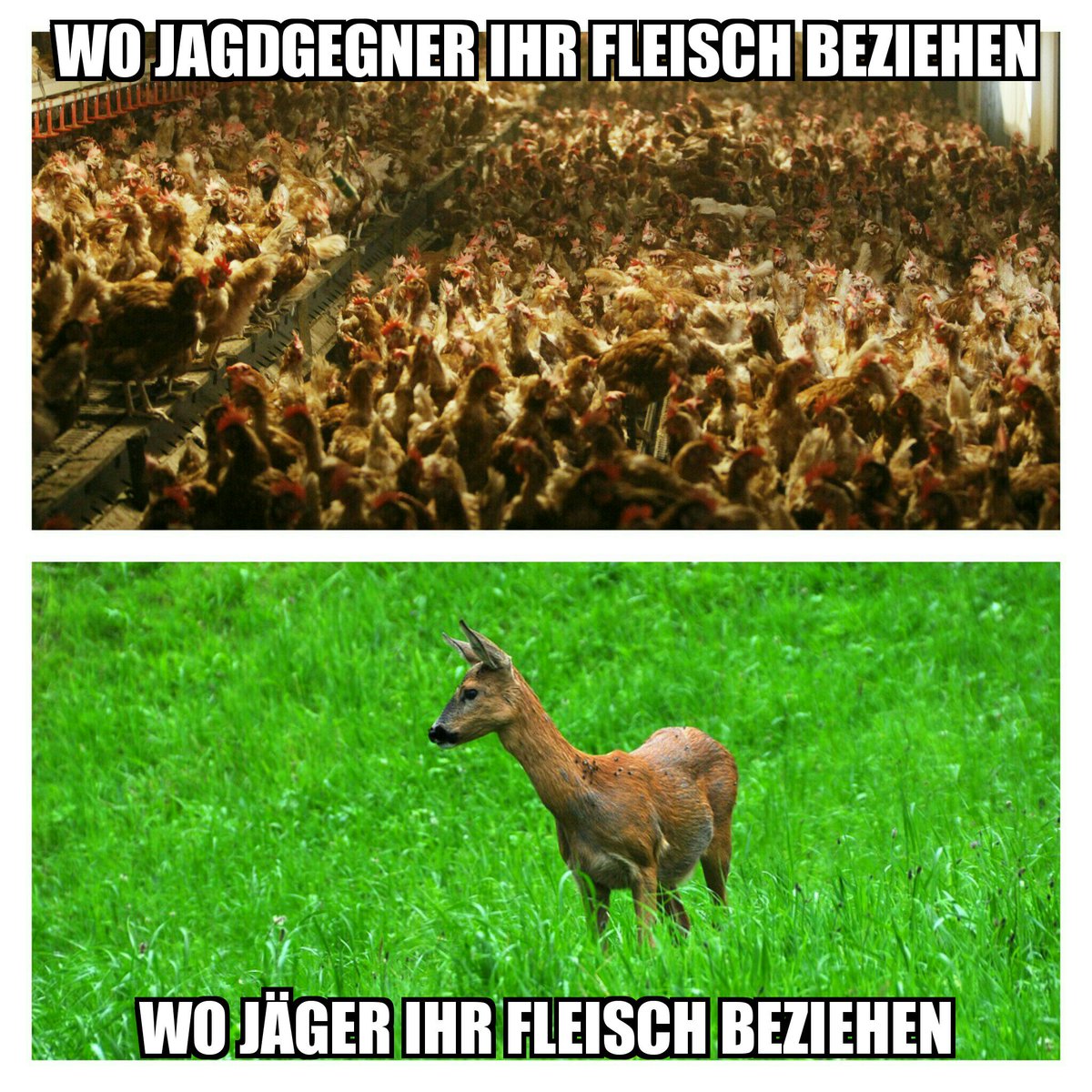 libermeme's tweet image. #Jagd #Jagdgegner #wild