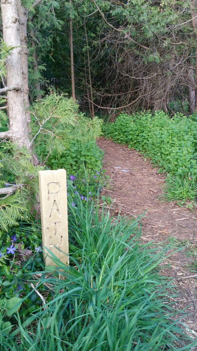 29 hikers enjoyed todays green right of way hike! Please let council know that we need to keep these for the future.
