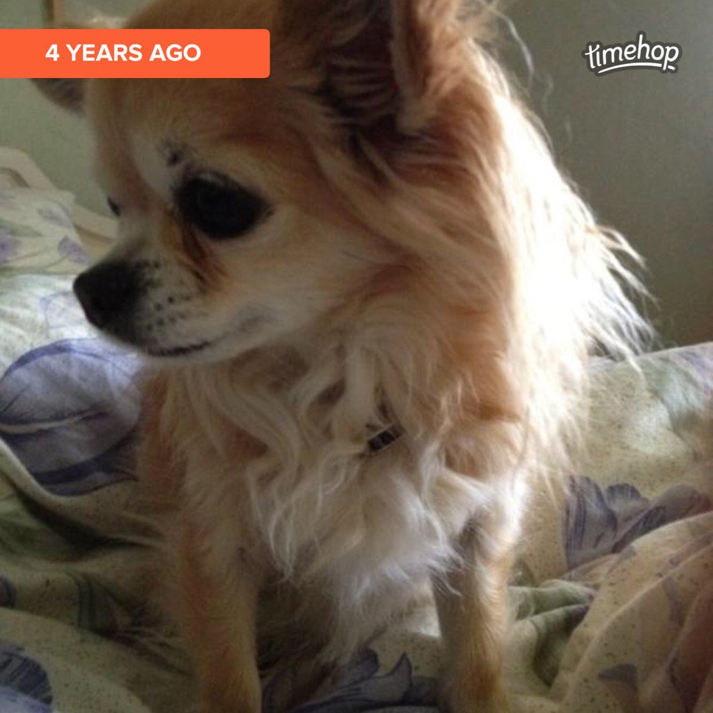 ematildag's tweet photo. #timehop ❤️❤️❤️❤️❤️❤️❤️ saknar min babe https://t.co/wnQicbds3C