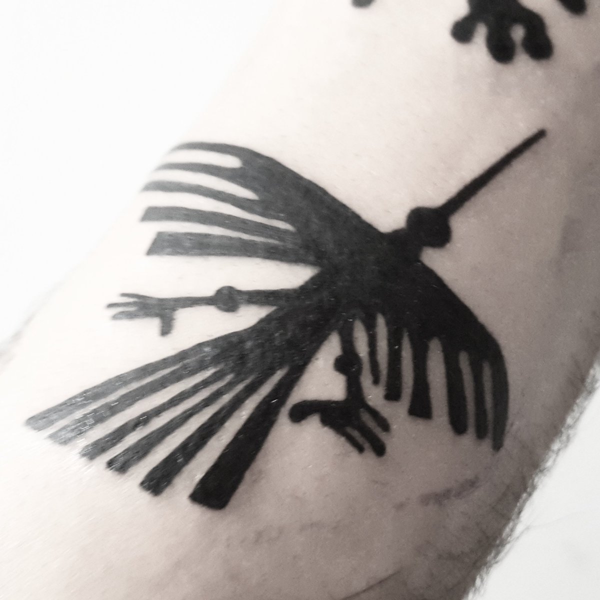 29 Condors ideas  cóndor tattoo andean condor inca tattoo