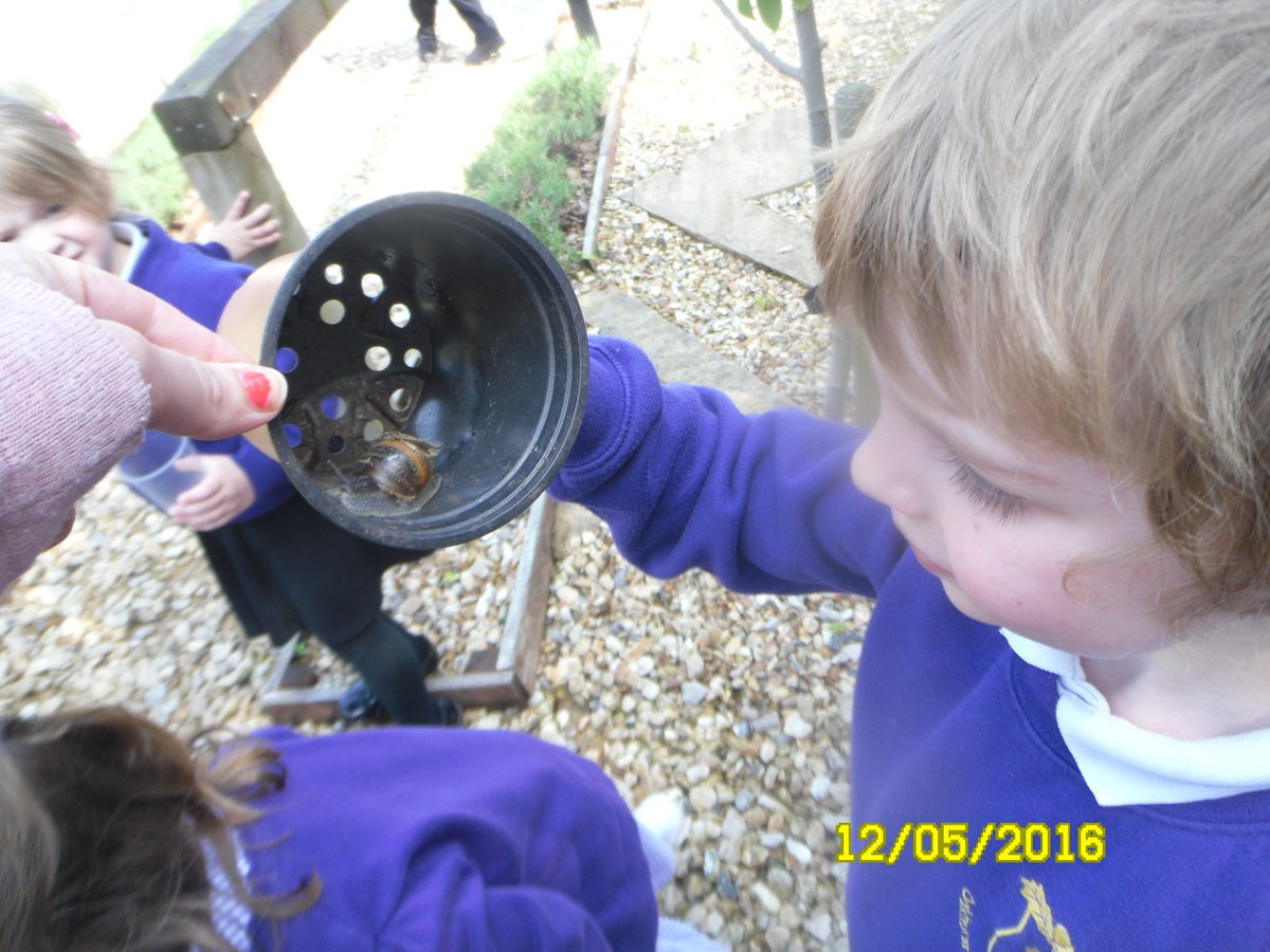 CardiffClass's tweet photo. Cardiff Class enjoyed hunting for bugs! https://t.co/6kEUgeO5XM