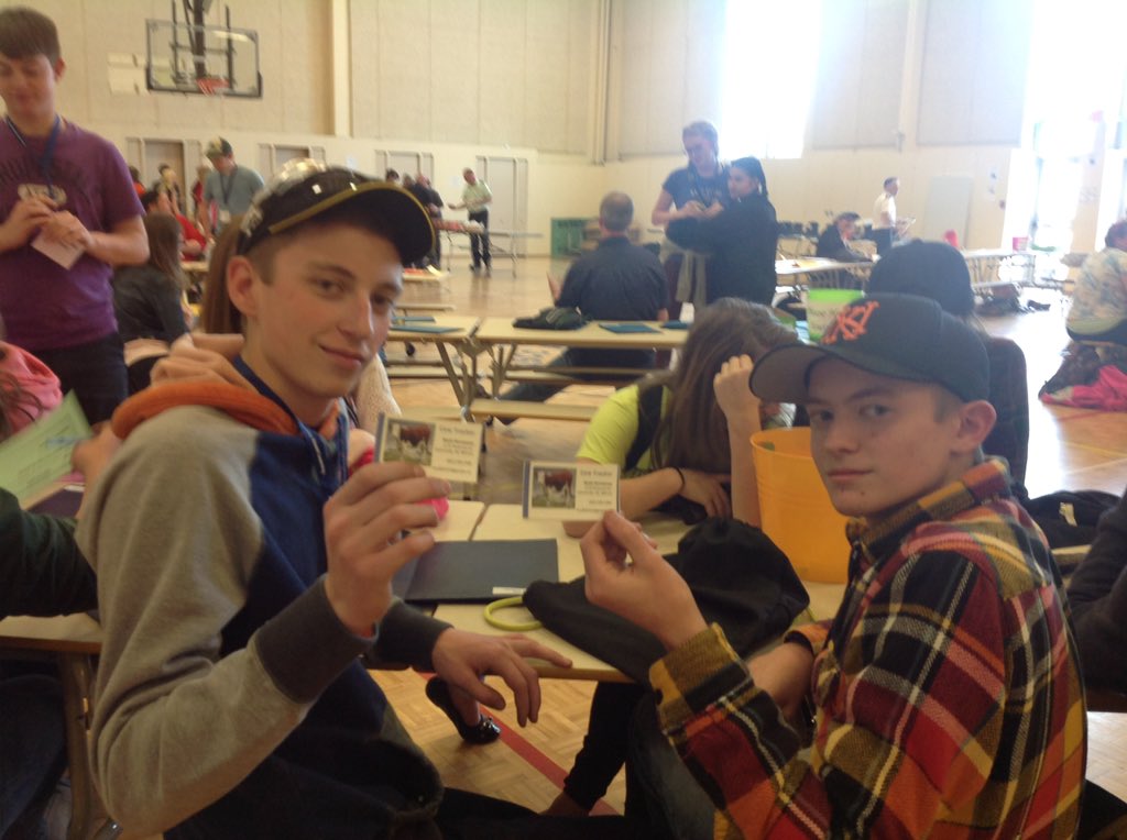 angetaylorhali's tweet photo. NKEC Ss @avrsb Overdrive 16  business cards to get idea noticed @CEED_NS @sarah_sarahryan #SPC #cowtracker #innovate https://t.co/BDYuO6X7QY