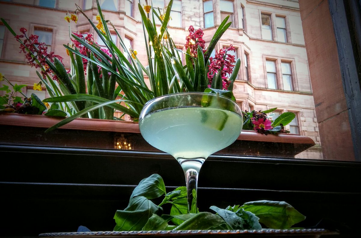 Gin71Bar's tweet photo. Summery &amp; refreshing. This weeks #GinGenius 'Cucumber &amp; Basil Gimlet' - @HendricksGin, lime juice, cucumber &amp; basil. https://t.co/lHJRpr8ZDo