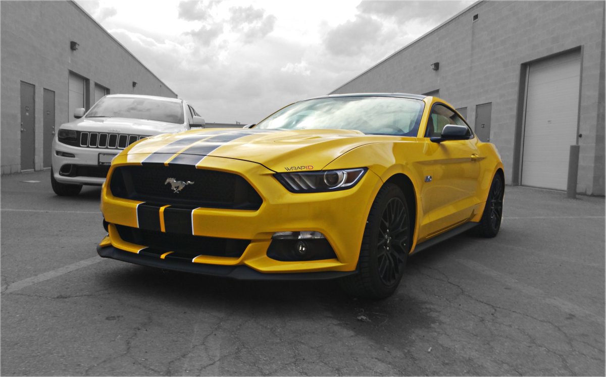 Wrap_iD's tweet photo. 🎶 Black &amp; yellow, black &amp; yellow. Black #stripes on yellow #Mustang. 
#Ford #RacingStripes #V8 #MustangGT #wrapid https://t.co/hMCD145iG2