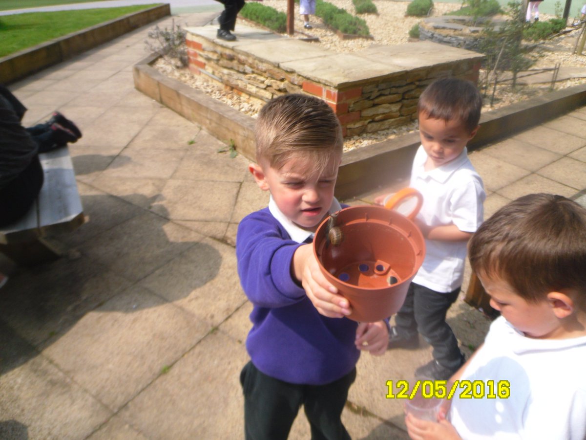 ClassEdinburgh's tweet photo. Edinburgh Class enjoyed hunting for bugs! https://t.co/781hDuC7t8