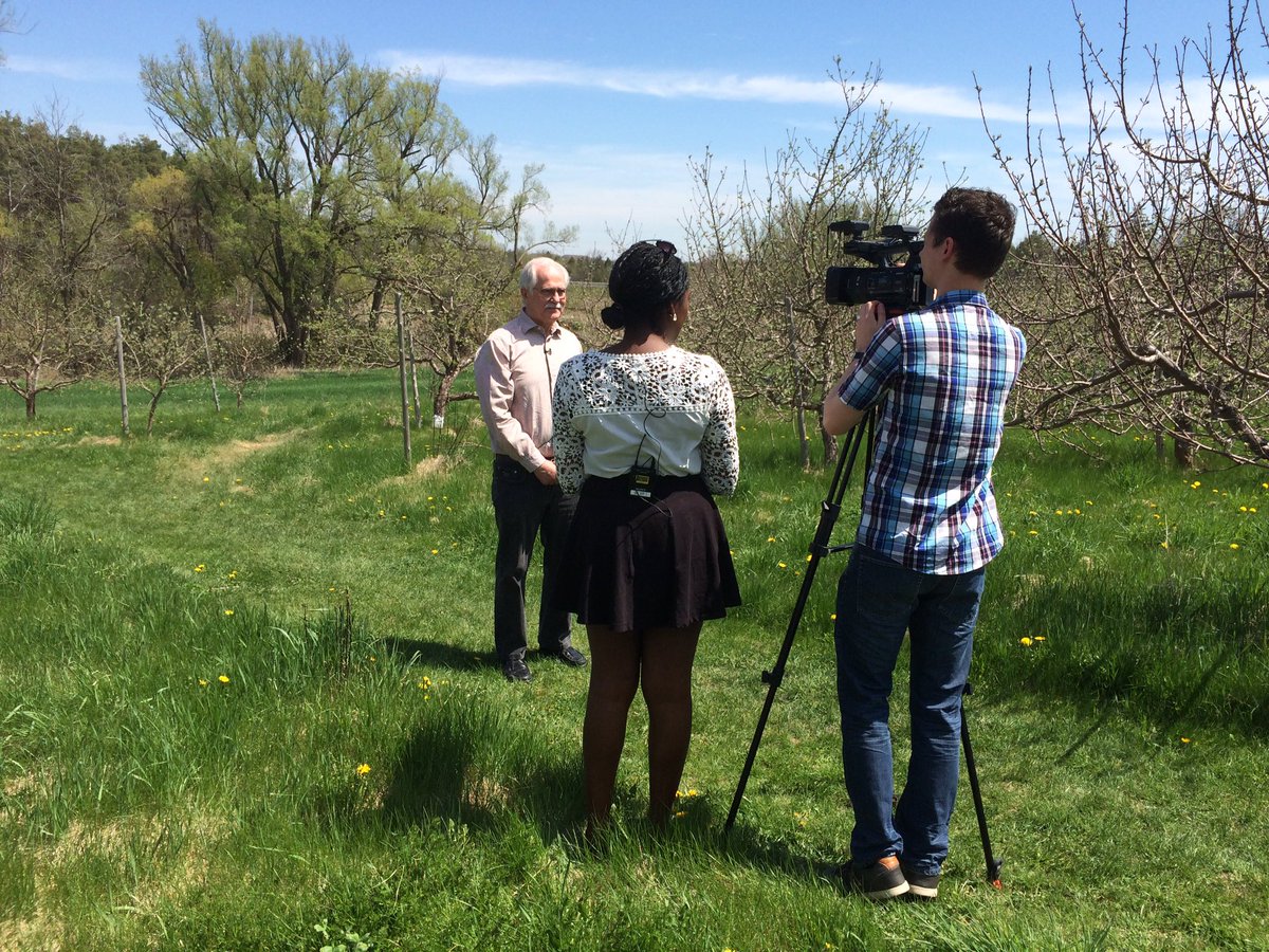 Rogers TV Guelph (RTVGuelph) Twitter