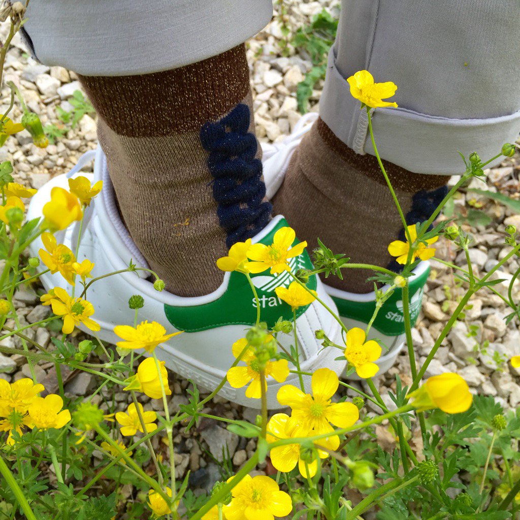 NicolasMessina's tweet photo. Les chaussettes #NicolasMessina sur @Famest / #socks / #Chaussette / #Lookoftheday https://t.co/zF1qoS7ePr