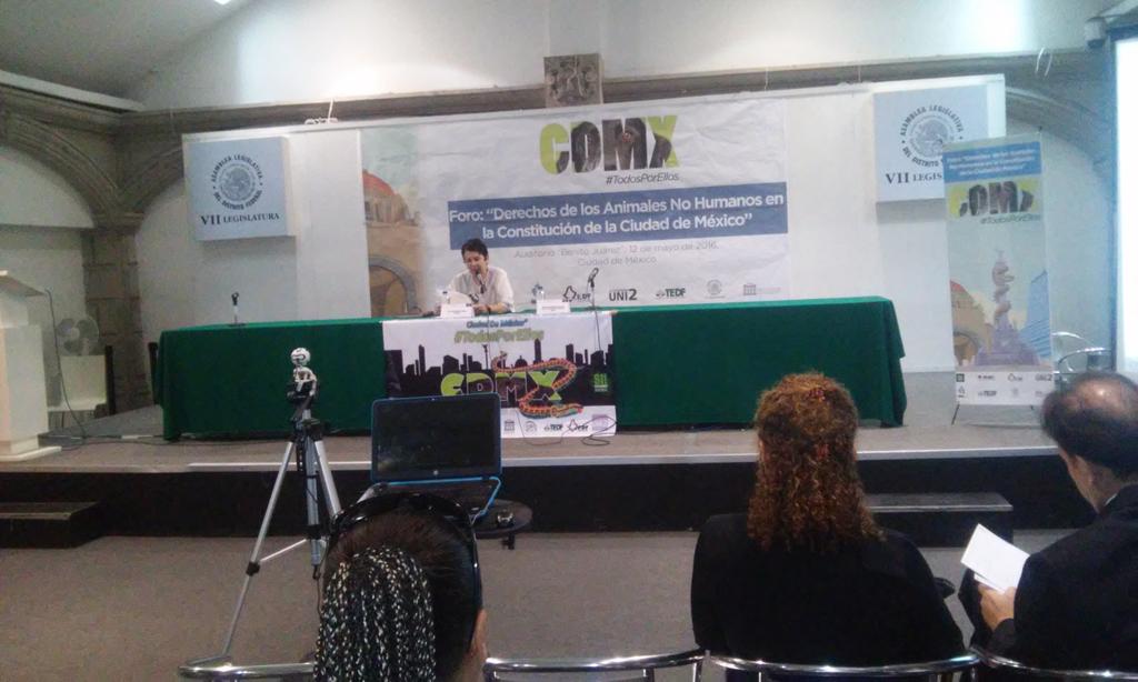 RebelinAluminio's tweet image. RT CanarioAcosado "RT IsabelYsita: EXCELENTE PONENCIA de Dra PaulinaRW
#ForoDerechosAnimalesNoHumanos en #Constitu… https://t.co/7wUbAJAiWh"