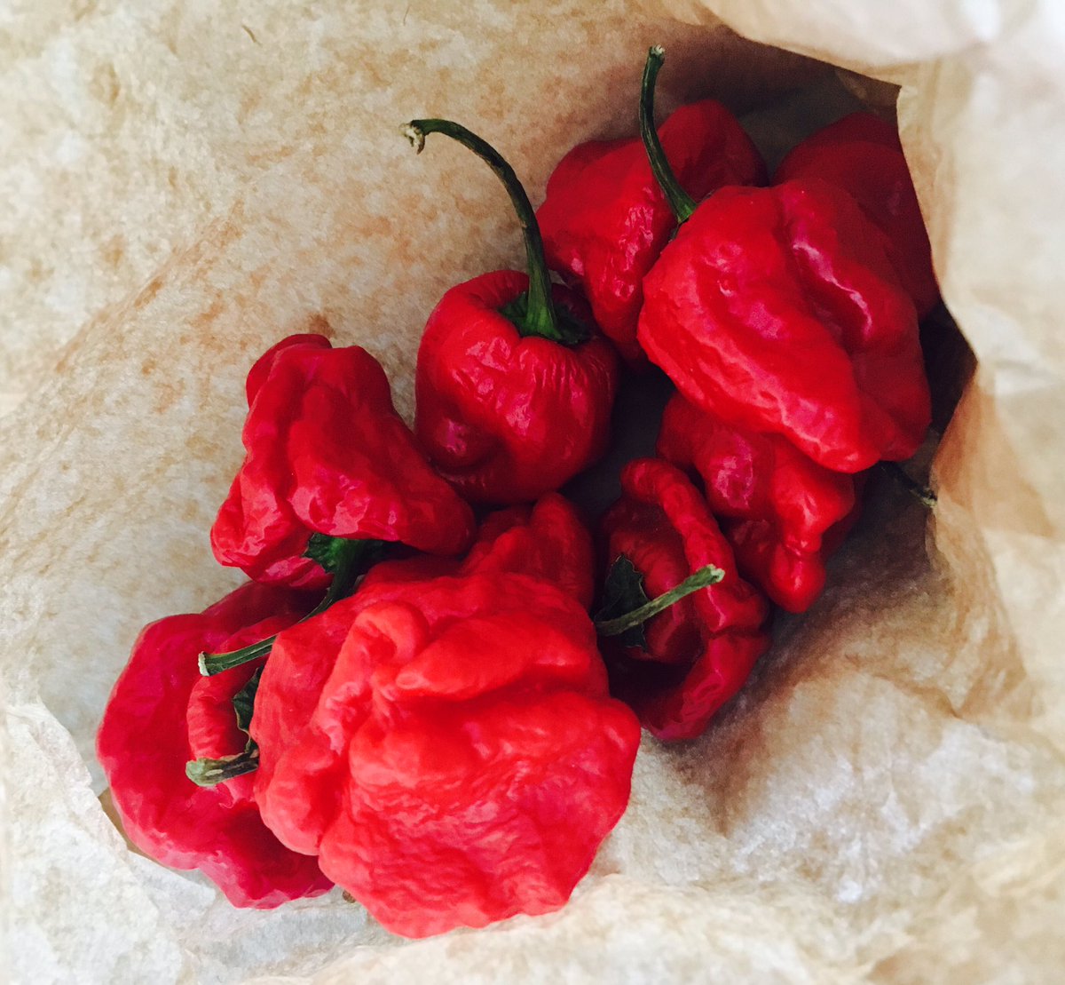banksiemagic's tweet photo. Saw these #ScotchBonnet #Chilli at @Stephensons #Appleby &amp; thought #ChilliJam!#JustSomethingIThrewTogether! https://t.co/Rem0KZSHB4