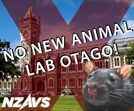MichelCollin's tweet photo. Tell Otago Uni #NoNewAnimalLab https://t.co/AJYFs7tdUB https://t.co/0pyUEbkmyV