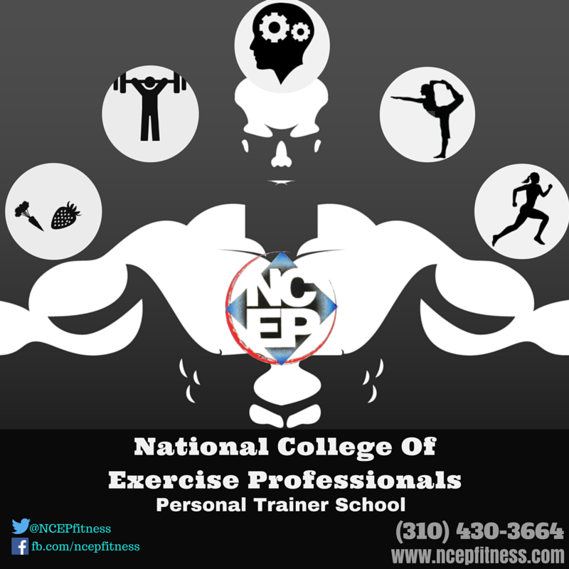 @NCEPfitness The Personal Trainer School that combines #FunctionalTraining and #FitnessScience
#Fitness