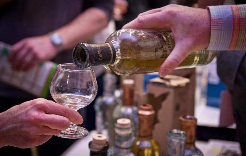 Showcase_Van's tweet photo. Don’t miss the Downtown Food &amp; Agave Safari on May 26 as part of the @TequilaExpo! Tickets https://t.co/bjxO898Qc7. https://t.co/W8Xg0EREzP