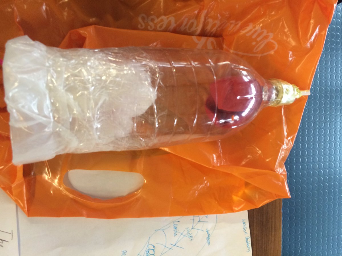 MissCallenRPCC's tweet image. Some truly amazing homework by year 7 today! #lungmodels