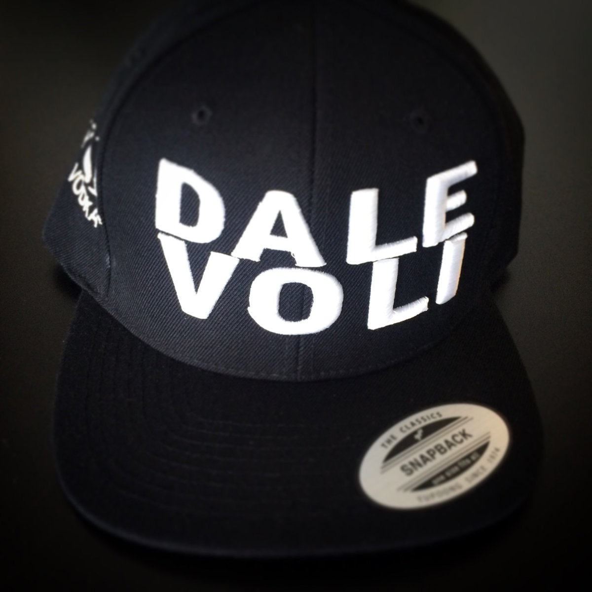 Voli305Vodka's tweet photo. We will #giveaway a #dalevoli hat to a random follower once we reach 14k followers. 21+ to win, must live in cont.US https://t.co/3iYvBfHCCc