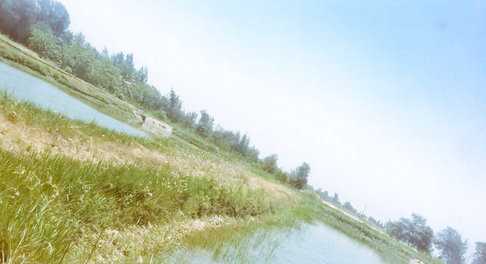 for_develop's tweet photo. #لساها_بلادنا_بخيرها  

فقط لو في دعم للتمييز والإدارات المميزه فنستطيع تحويل مصر كدوله مستهلكه كالعادة لدوله منتجه https://t.co/FPVoyojZGo