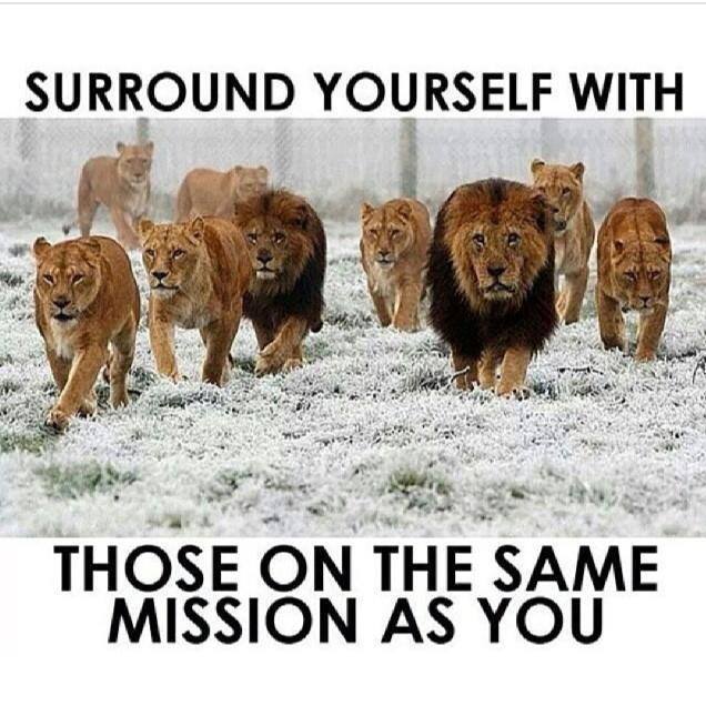 "#Success can't be given to you. You are given #opportunities to squander or turn into bigger ones" ~ Marsha Wright