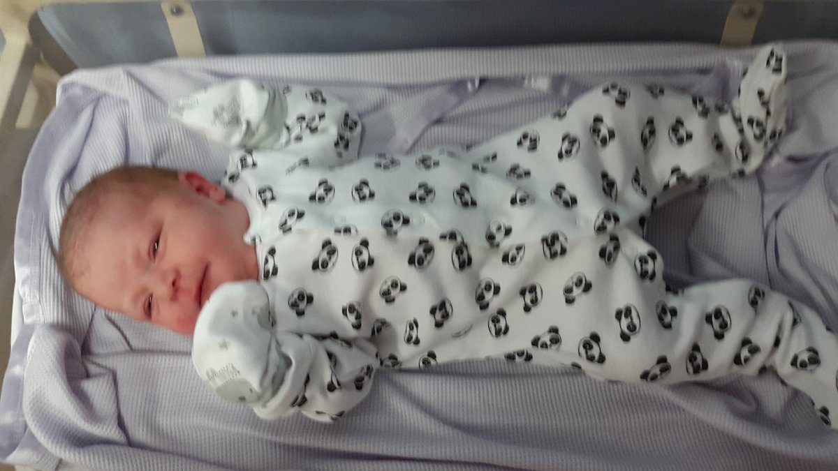 Kelly bennett tweet media