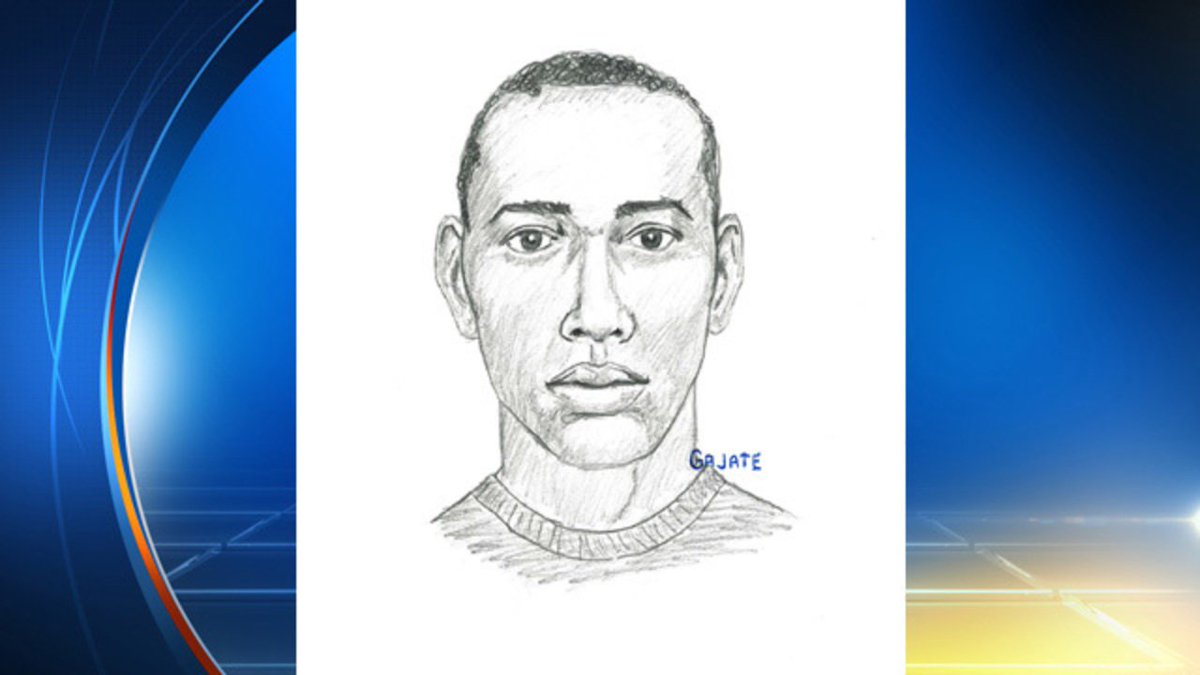 #BREAKING Sketch released of man believed to have kidnapped, attempted rape on 11-yo girl bit.ly/1R0j1cr?utm_me… https://t.co/STWIyK94GZ