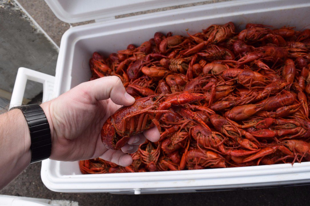 EutawUS's tweet photo. Thank you Madison County Law Enforcement!!! #Crawfish2016 #LawEnforcementAppreciationWeek https://t.co/YT7bw7AbsT