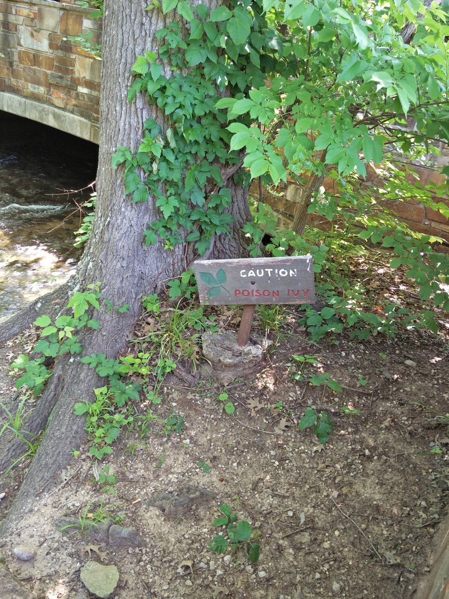 Camsshel's tweet photo. I appreciate the warning! ^_^ #walk30days https://t.co/9pFTXjrRDY
