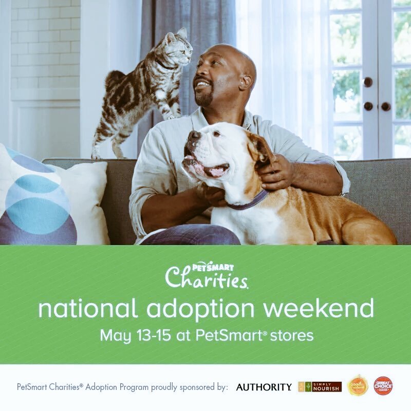 #jhshumane + #kats4keeps will be @  Towncenter Petsmart this weekend, come out and save a furry friend!  <a href="/dmgelo/">Dave Gelo</a>