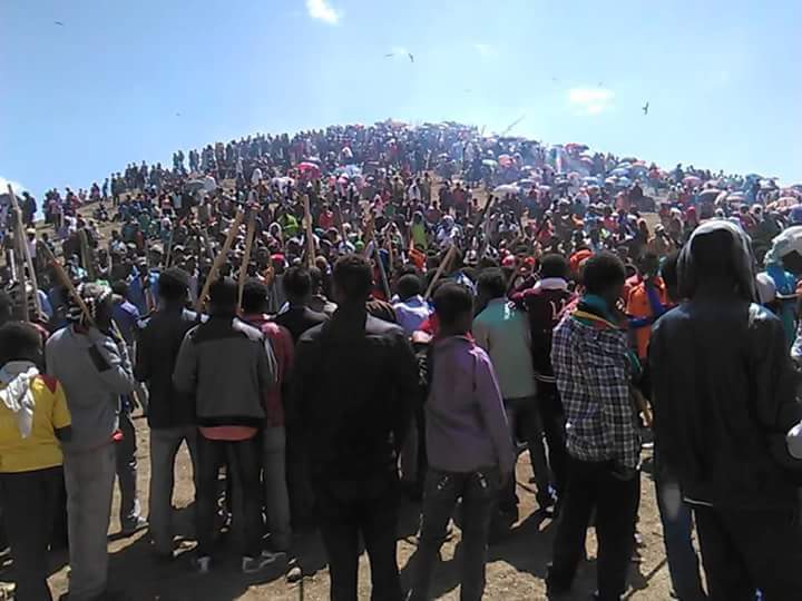 Birhanemeskel Abebe Segni (@birhansegni) on Twitter photo #OromoProtests protesting land grab & dispossession in #Ethiopia @AnaGomesMEP <a href="/FedericaMog/">Federica Mogherini</a> <a href="/MimicaEU/">Neven Mimica</a> @StateAfrica #OromoProtests protesting land grab & dispossession in #Ethiopia @AnaGomesMEP <a href="/FedericaMog/">Federica Mogherini</a> <a href="/MimicaEU/">Neven Mimica</a> @StateAfrica