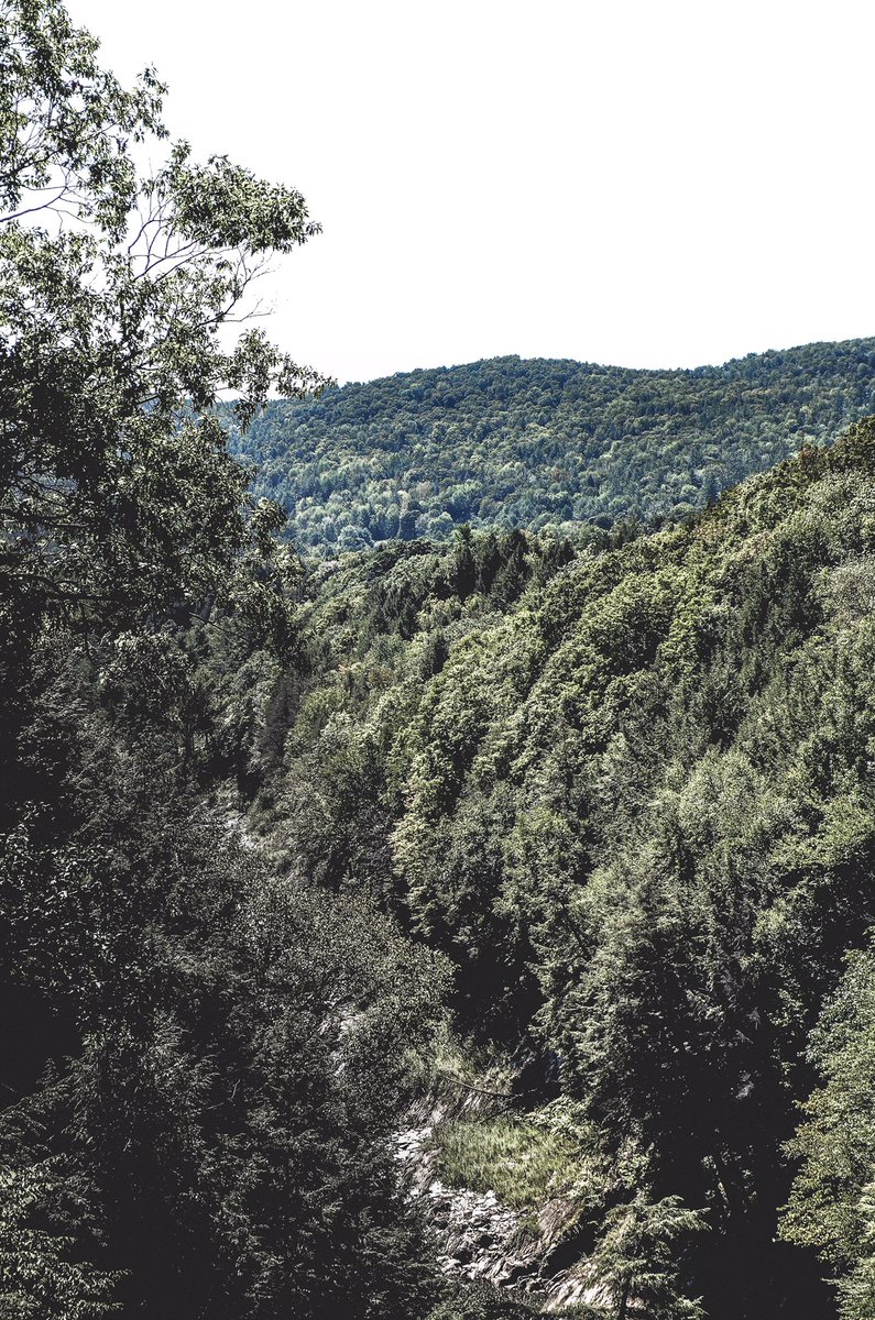 martinmoorejr's tweet photo. It was a short hike to the top of the Quechee Gorge Bridge in VT, but a long reflection while soaking in that view. https://t.co/nsJ5pHOMFZ