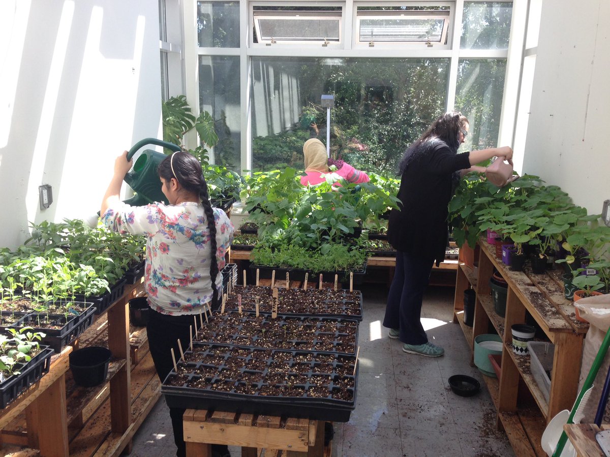 PM Y.E.S. Program tweet media