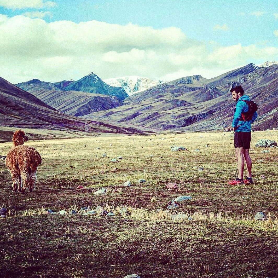 CoachKingy's tweet photo. #tbt to when I had a foot race with an alpaca 4000 meters up in the Andes. #running #adventure #projectbreakpoint https://t.co/TL4Xrb1jTo