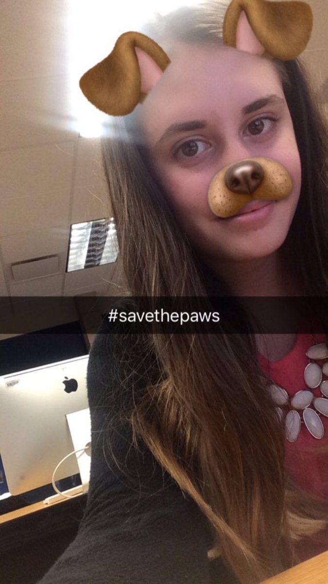 thefurproject's tweet photo. thanks @beautybuilders for the support!! #savethepaws https://t.co/I1nNPIuvim