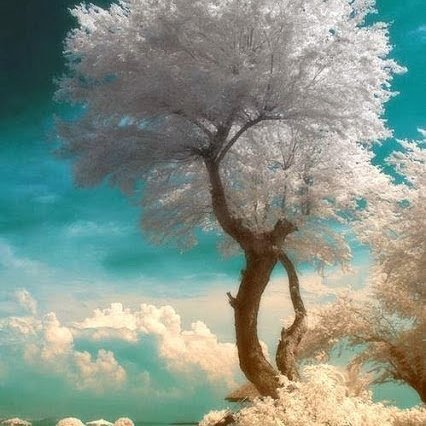 lisagar05214380's tweet photo. @walker_sheri @victoria310563 @drslalk @Lupita_ets @LadyTara888 @ACFanC @TiffanyWyntres @AriahChristine_ https://t.co/DUDAqXP3OM