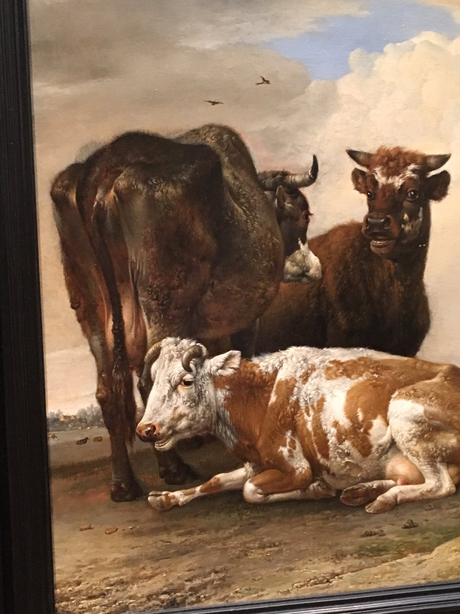GameOn_Chicago's tweet image. #ButtSeriously #ButtHunt @MuseumGameNight Paulus Potter "Two Cows and a Young Bull"