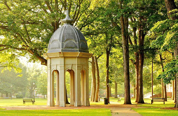 CollegesAmerica's tweet photo. East Carolina University, Greenville, North Carolina 💜💛 https://t.co/YSYy3SeKWN