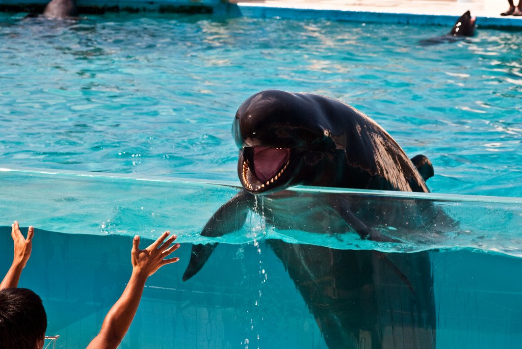 bombsfall's tweet image. WHAT&apos;S UP YOU DRY MOTHERFUCKER