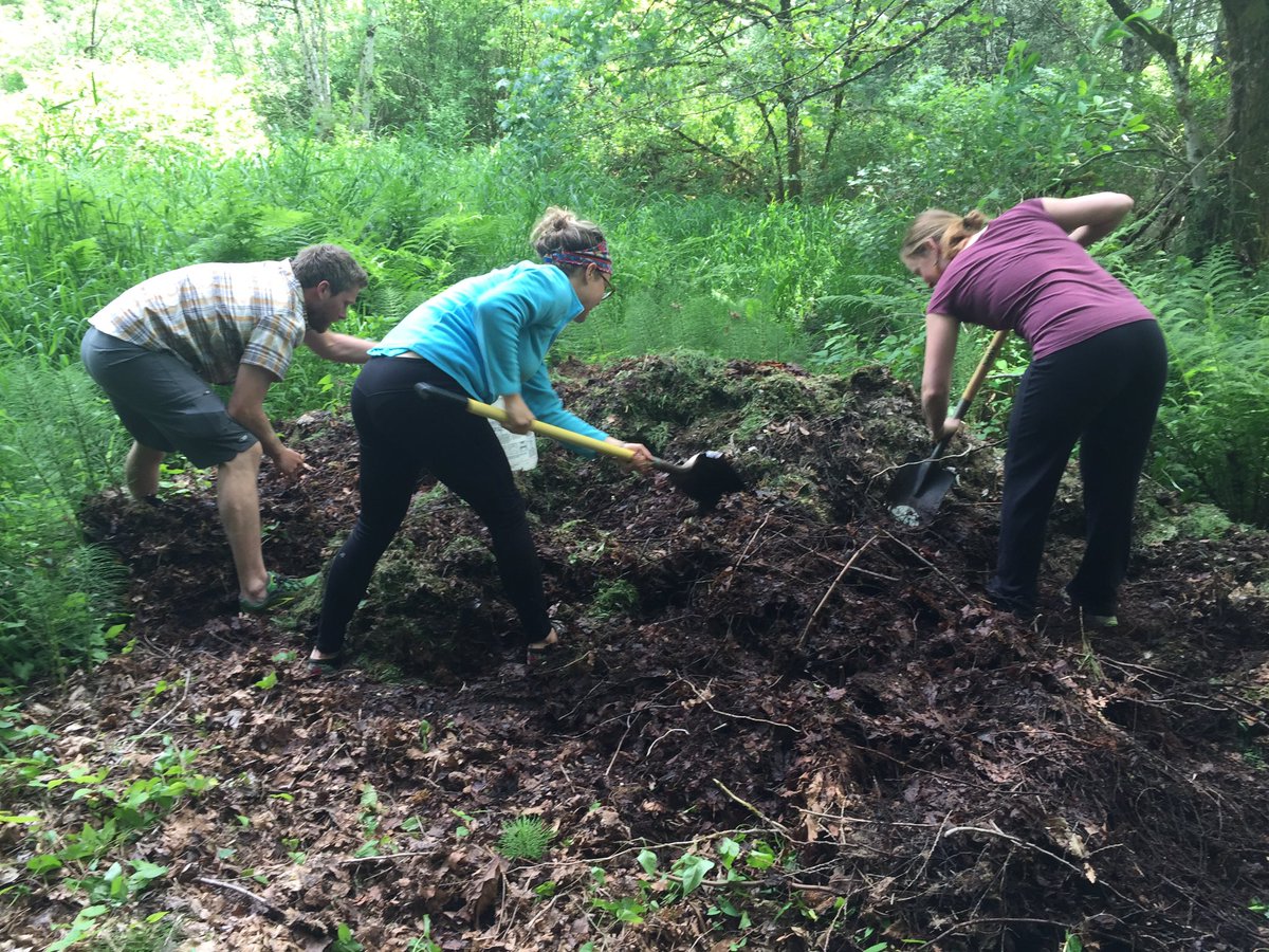 Worm harvest. A little digging through compost now, happy plants later!